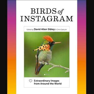Birds of Instagram: Extraordinary Images from Around the World Hardcover Book